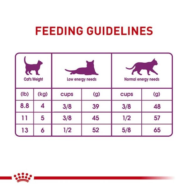 غذای خشک گربه برای گوارش حساس Sensitive Digestion Dry Cat Food
