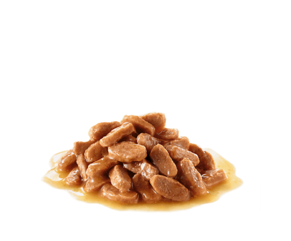 پوچ گربه عقیم شده Sterilised Gravy