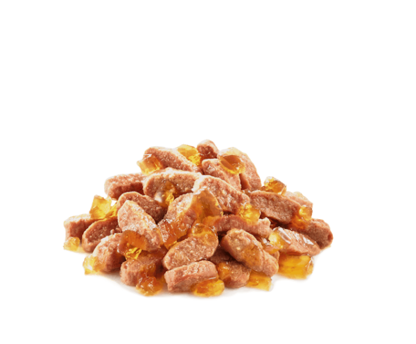 پوچ گربه عقیم شده Sterilised Jelly