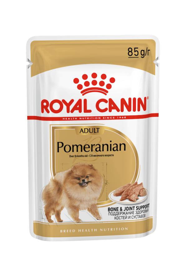 پوچ سگ پامرانی بالغ Pomeranian Adult Loaf