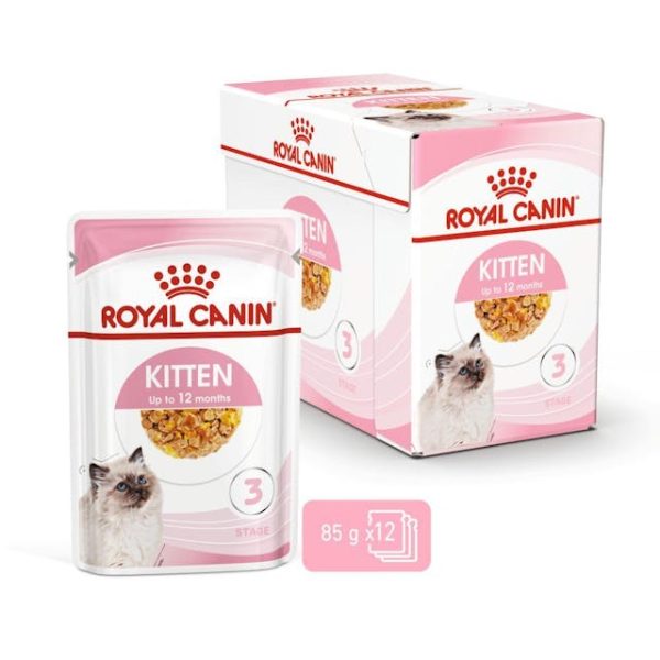 پوچ بچه گربه Kitten Jelly