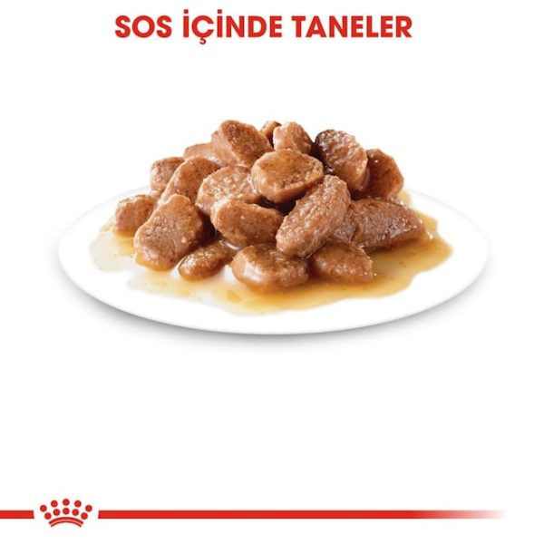 پوچ گربه عقیم شده Sterilised Gravy